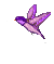 marcador