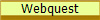 Webquest