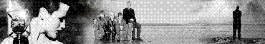 The Cranberries