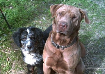 This is Bernie & Ike
