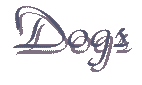 Dogs