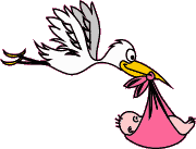 pink stork