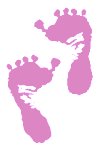 pinkfeet