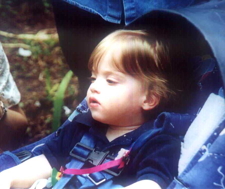 Zach watching the ground hogs