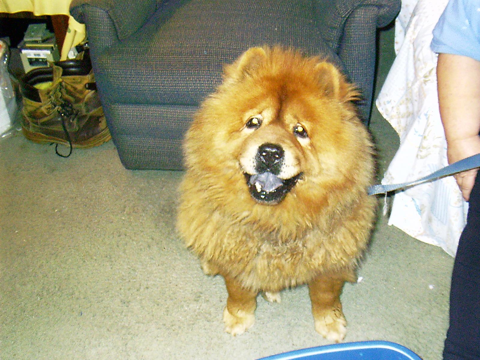 Macho Smiling
