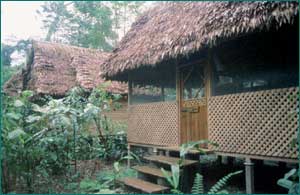 Albergue