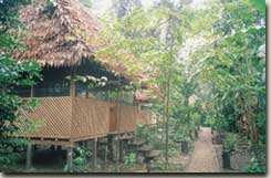 Selva