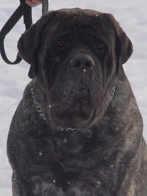 12 months old