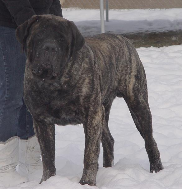 12 months old