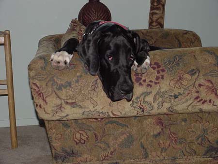 this is my chair!!