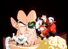 Dbz21.gif (12821 bytes)