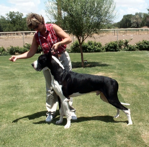 Beau at 16 Month