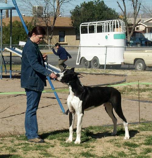 Beau at a match at 11 mo
