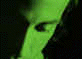 Howie D