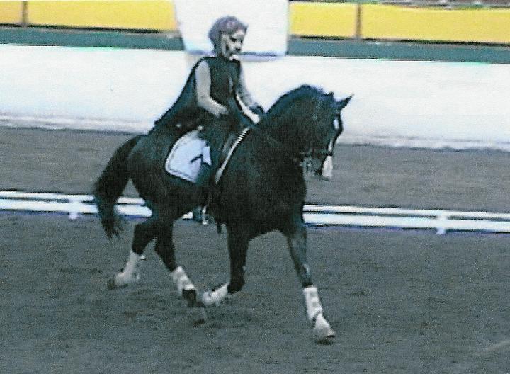 Becky Langworst on her Grand Prix horse, Gomerant.
