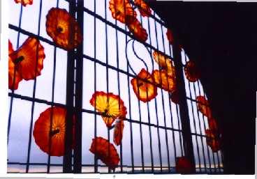 Chihuly glass