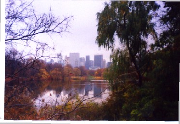 Central Park