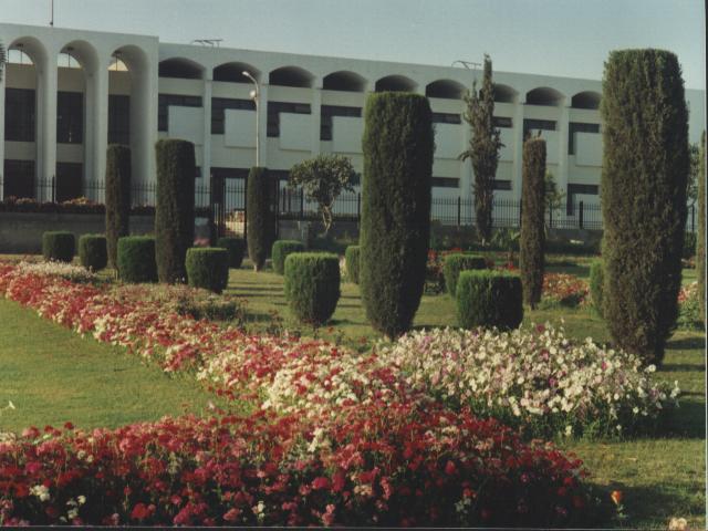QMC Bahawalpur