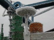 [Juneau Alaska 2002]