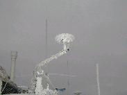 [Juneau Alaska 2002]