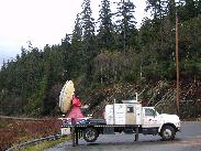 [Juneau Alaska 2002]