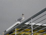 [Juneau Alaska 2002]