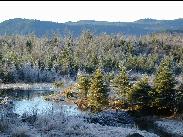 [Juneau Alaska 2002]