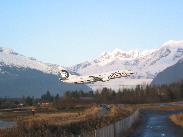 [Juneau Alaska 2002]