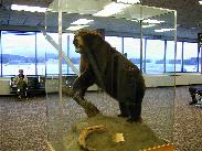 [Juneau Alaska 2002]