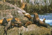 [Juneau Alaska 2002]