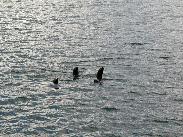 [Juneau Alaska 2002]
