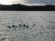 [Juneau Alaska 2002]