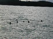 [Juneau Alaska 2002]