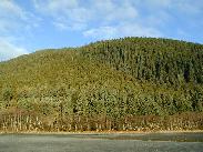 [Juneau Alaska 2002]