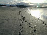 [Juneau Alaska 2002]