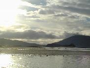 [Juneau Alaska 2002]