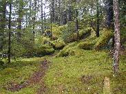 [Juneau Alaska 2002]