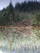 [Juneau Alaska 2002]