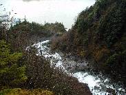 [Juneau Alaska 2002]
