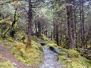 [Juneau Alaska 2002]