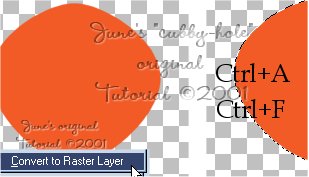 convert to raster & float