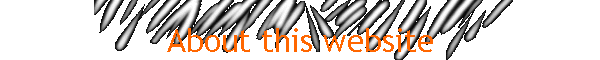 About this website