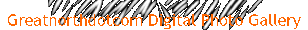 Greatnorthdotcom Digital Photo Gallery