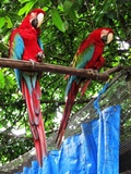 paraba