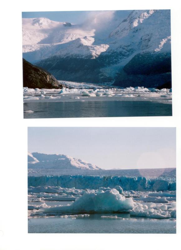 Argentina Ice