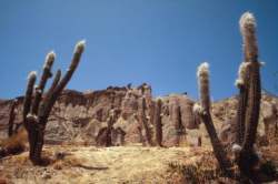 Atacama Desert