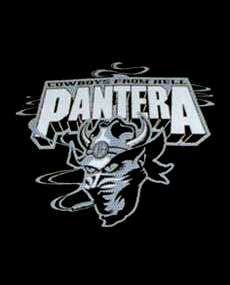 pantera3.jpg (7138 bytes)