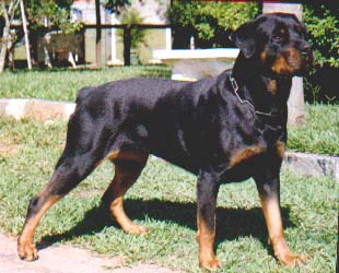 talita.jpg (27768 bytes)