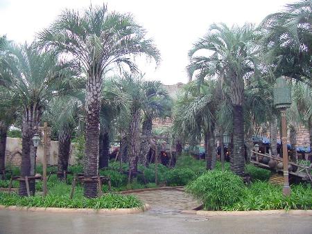 Date trees