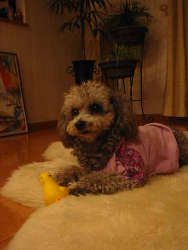 How cute!